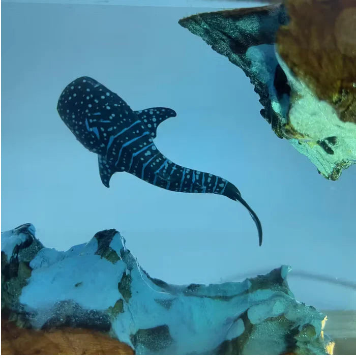 Whale and Divers Resin Lamp